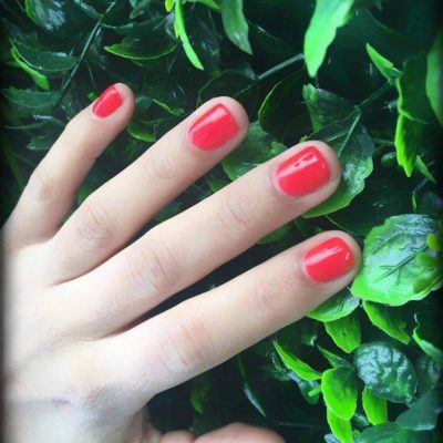 464569078_8458156034295498_543061014848776358_n